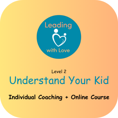 Level 2 - Individual Coaching + Online Course