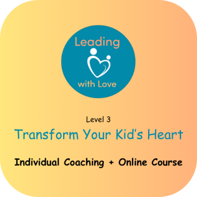 Level 3 - Individual Coaching + Online Course