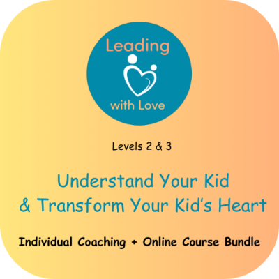 2-Course Bundle  (Individual Coaching + Online Course Level 2 + Level 3)